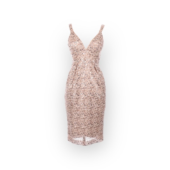 new Jill Stuart 𑁍 All Over Sequin MIDI Sheath Cocktail Dress 𑁍 Champagne Pink - Picture 15 of 16